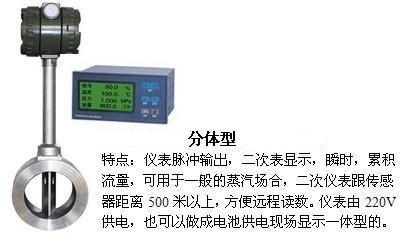 高溫蒸汽流量計(jì)分體型產(chǎn)品圖